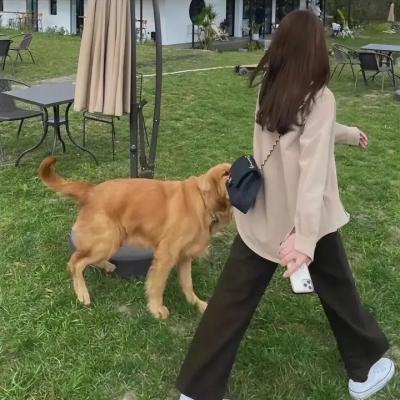 扫兴者第四季
